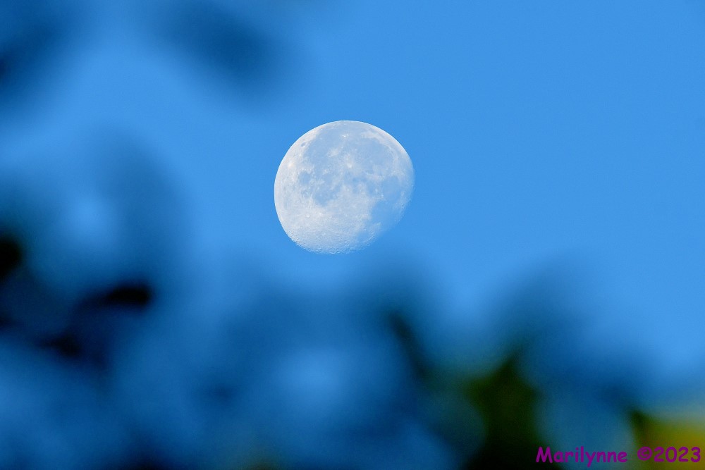 DSC_9899_001.JPG