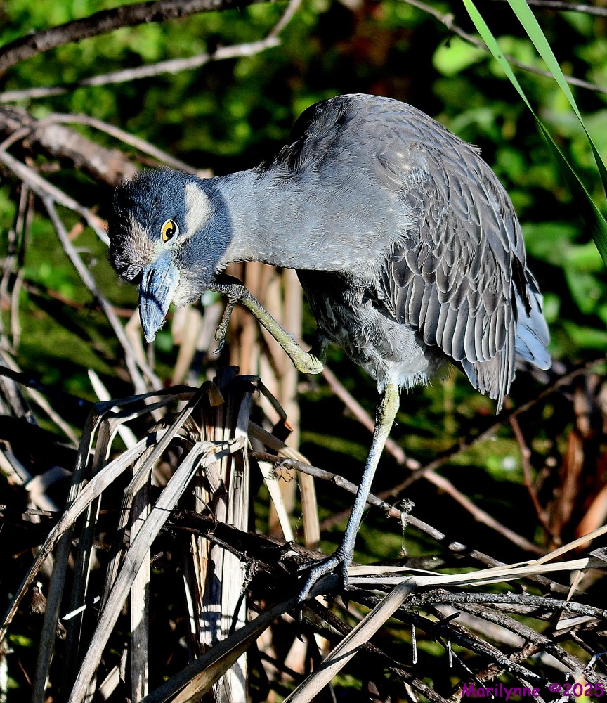 DSC_9900_001.JPG
