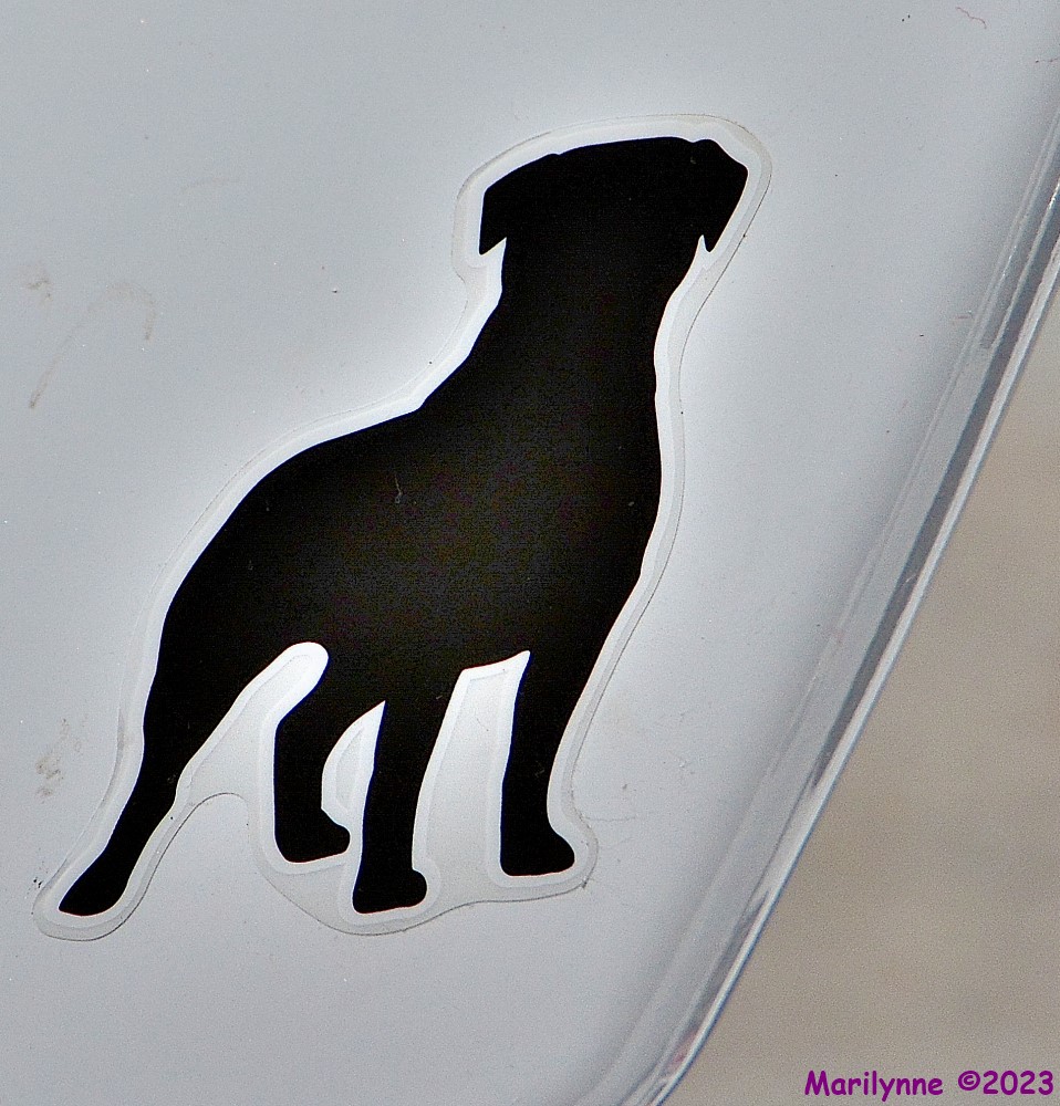 DSC_9902_001.JPG