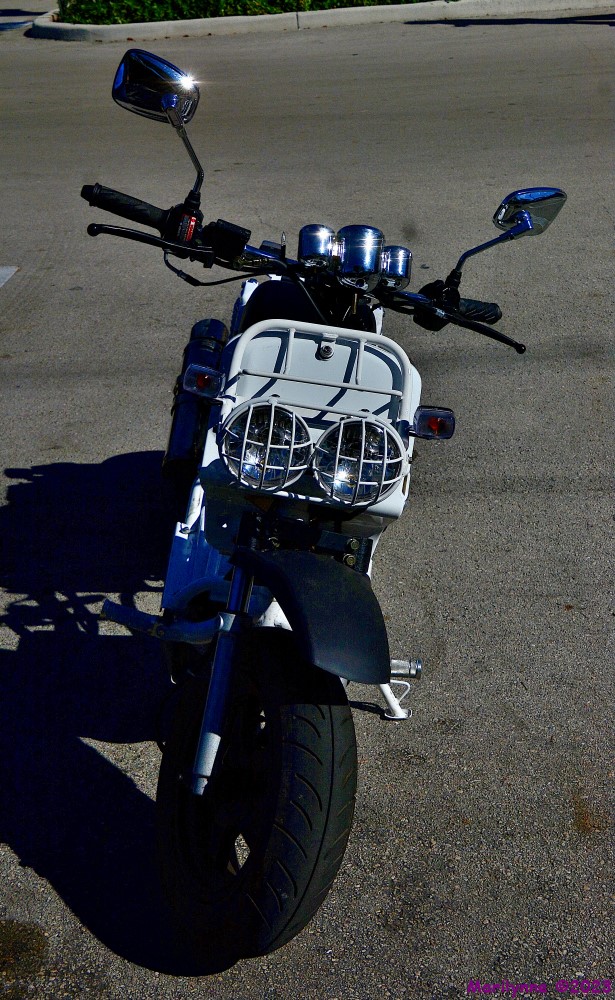 DSC_9904_001.JPG