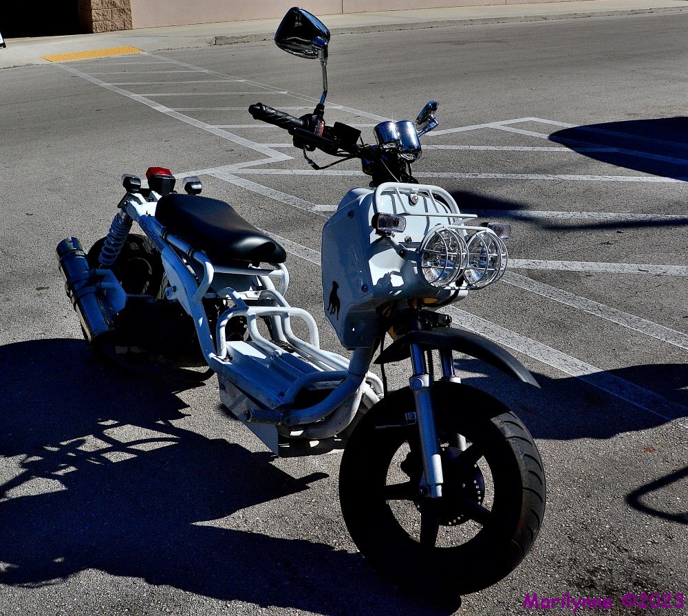 DSC_9907_001.JPG