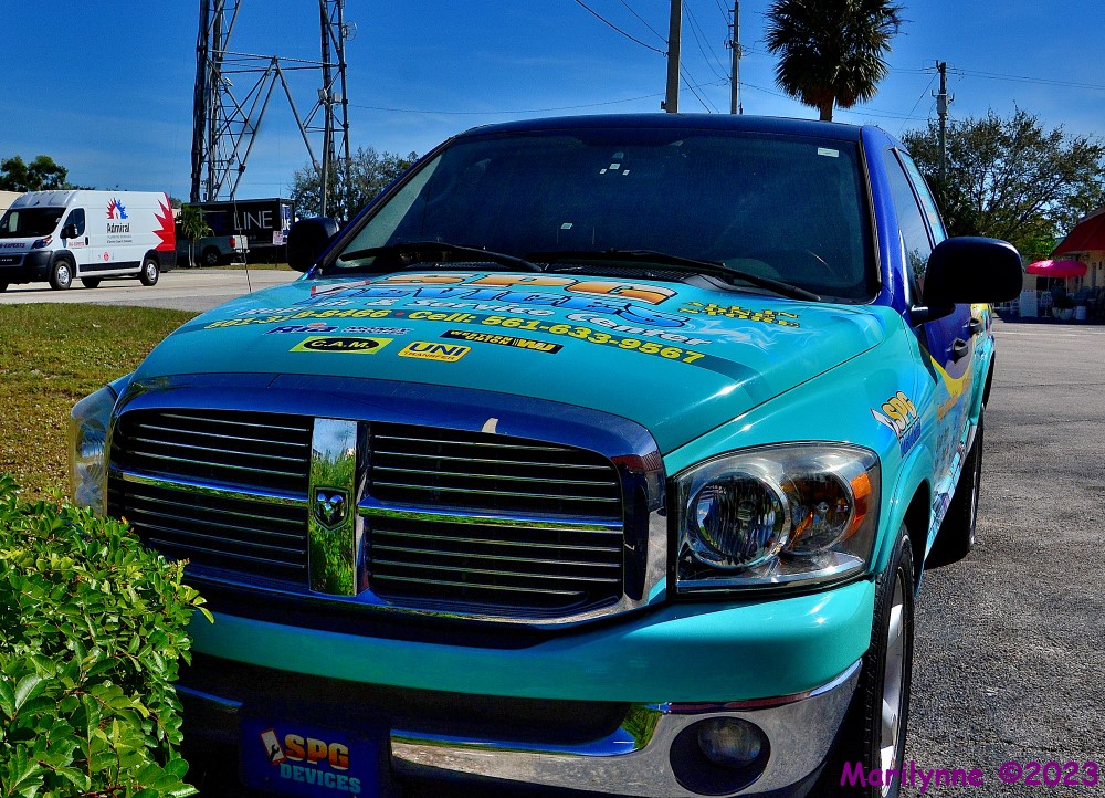 DSC_9914_001.JPG