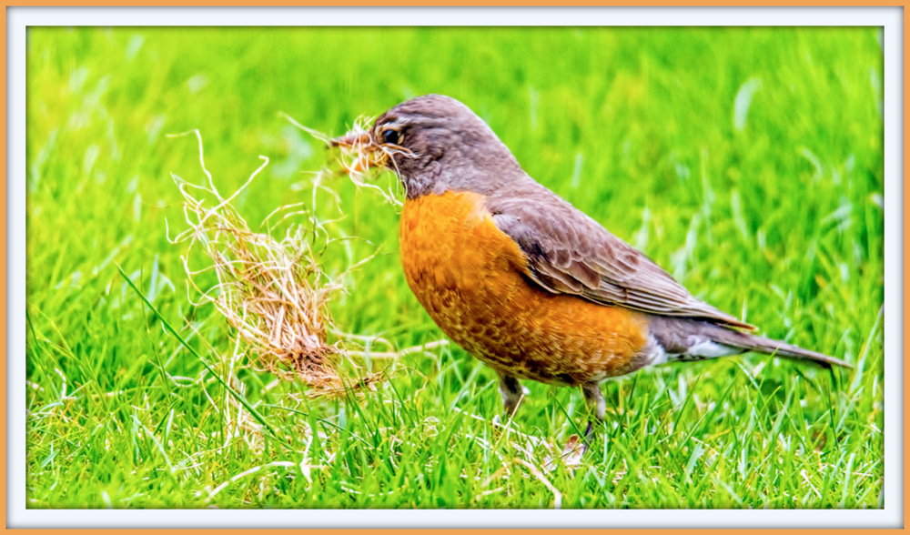 DSC_9927-Edit.jpg