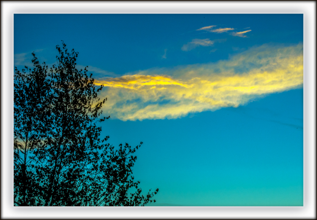 DSC_9938.jpg