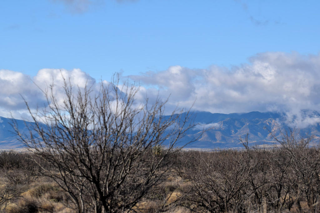DSC_9940_01-20200122_048.jpg
