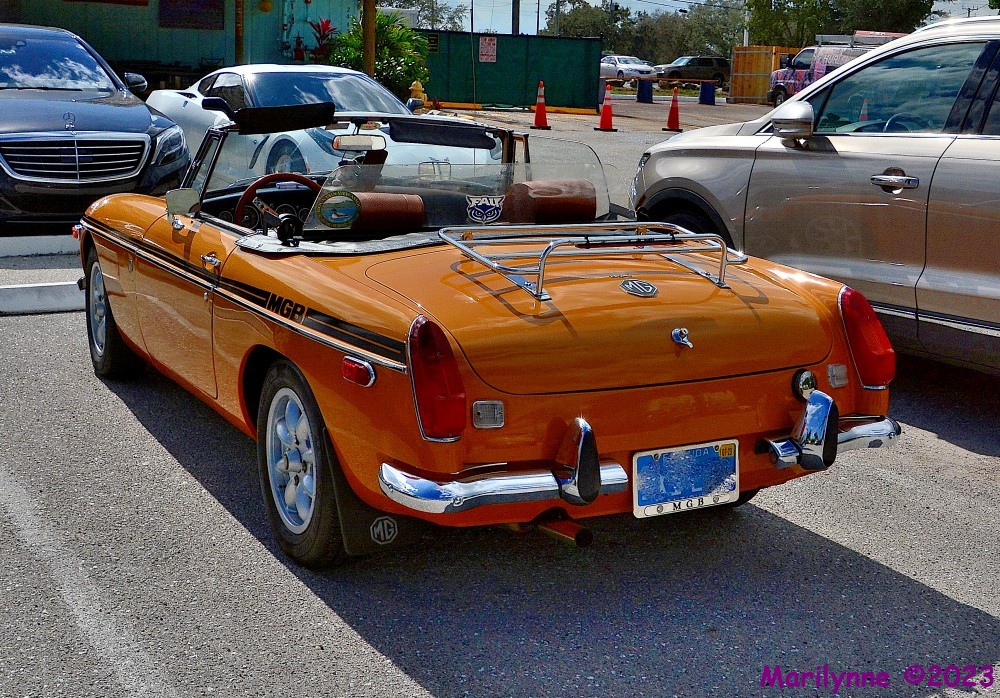 DSC_9943_001.JPG