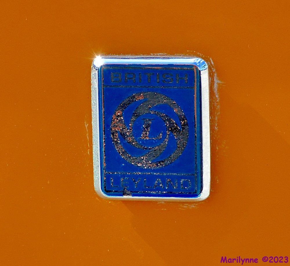 DSC_9946_001.JPG