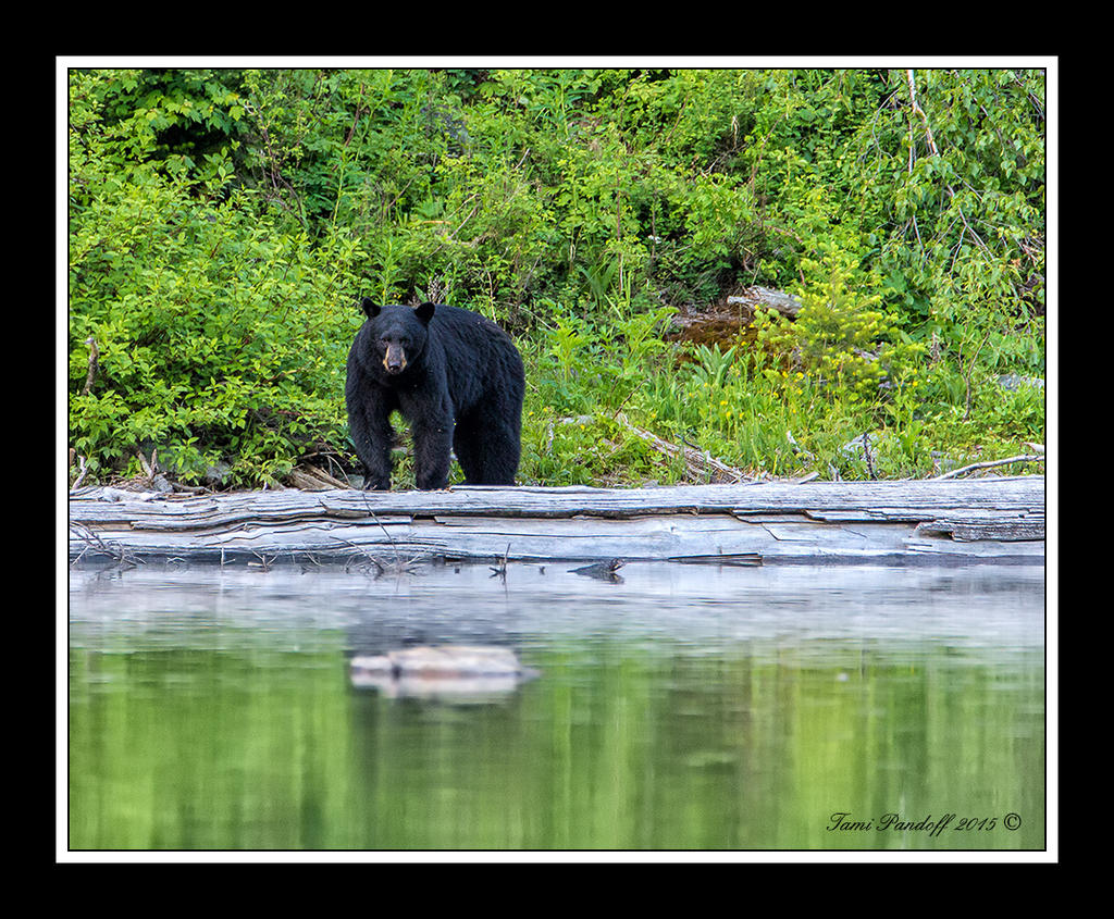 DSC_9950.jpg
