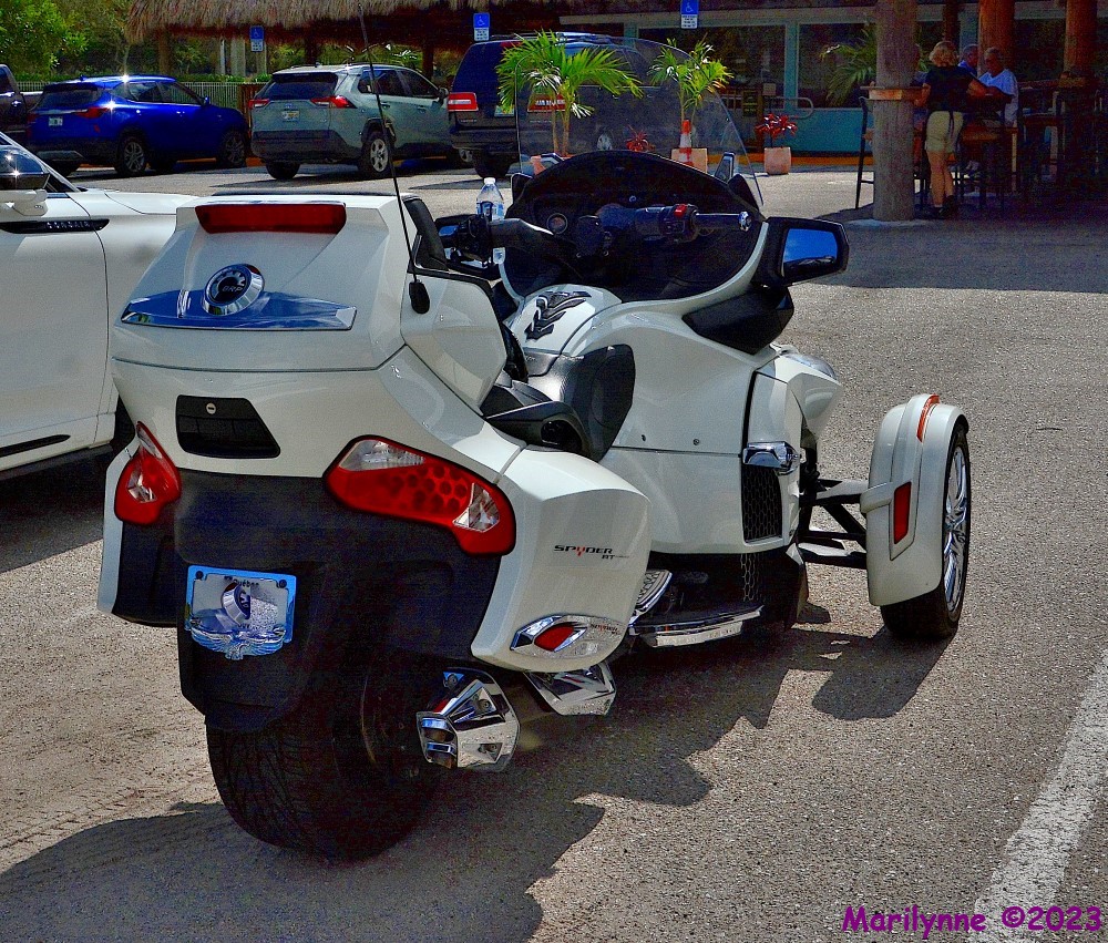 DSC_9952_001.JPG