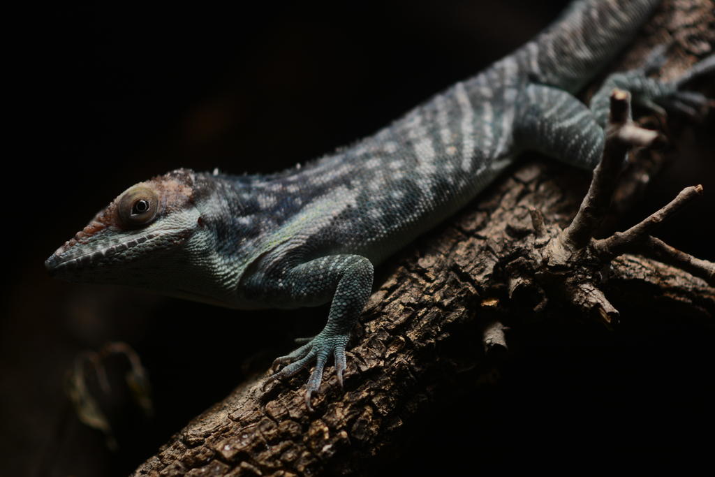 DSC_9953.jpg