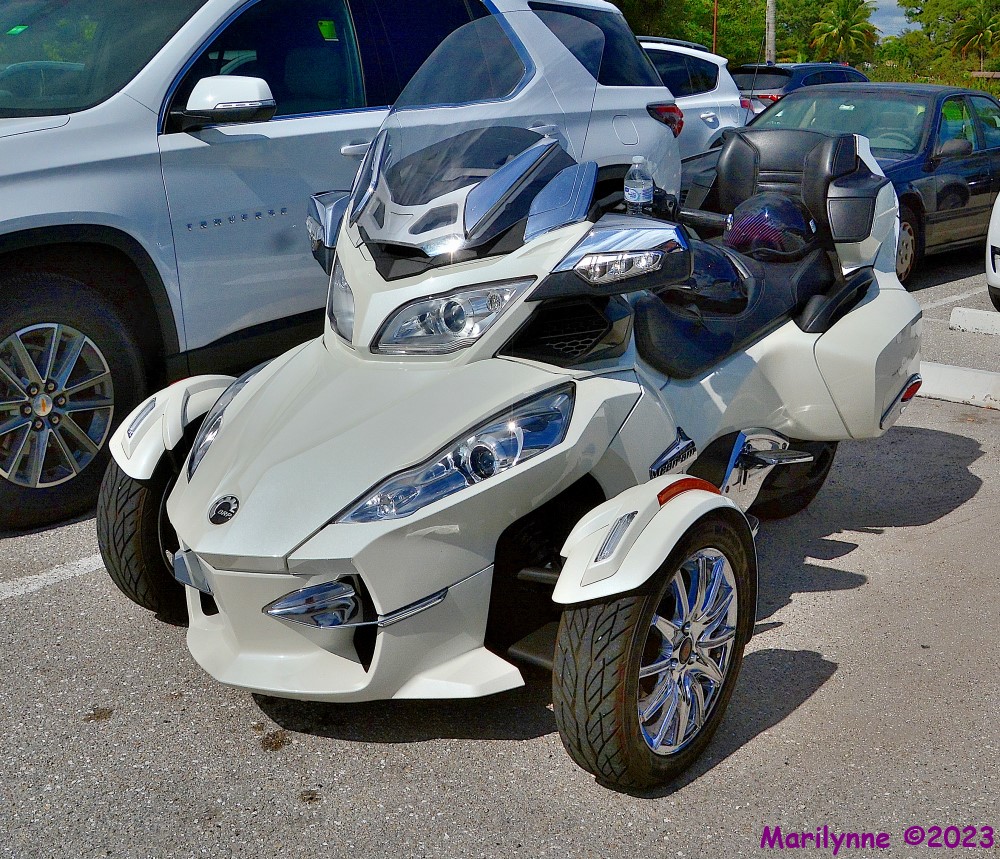 DSC_9960_001.JPG