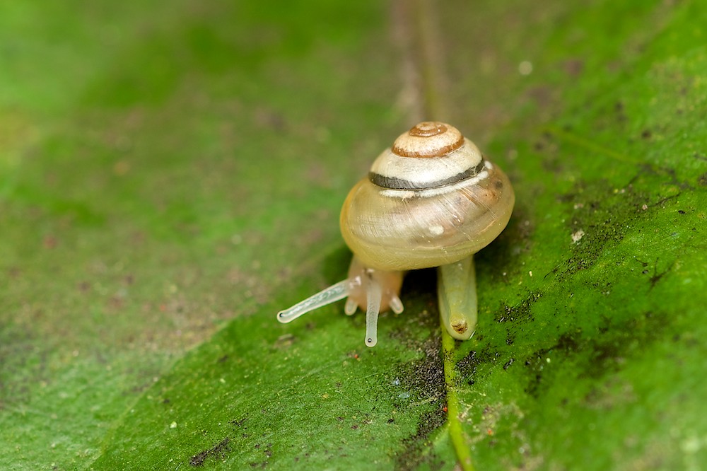 DSC_9969.jpg