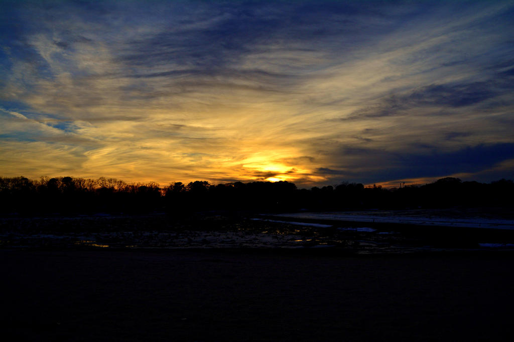DSC_9974.jpg