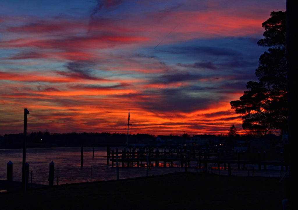 DSC_9980.jpg