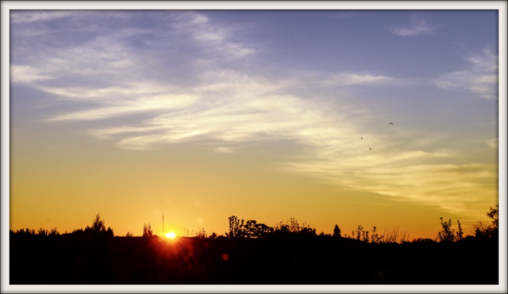 DSC_9984-001.jpg
