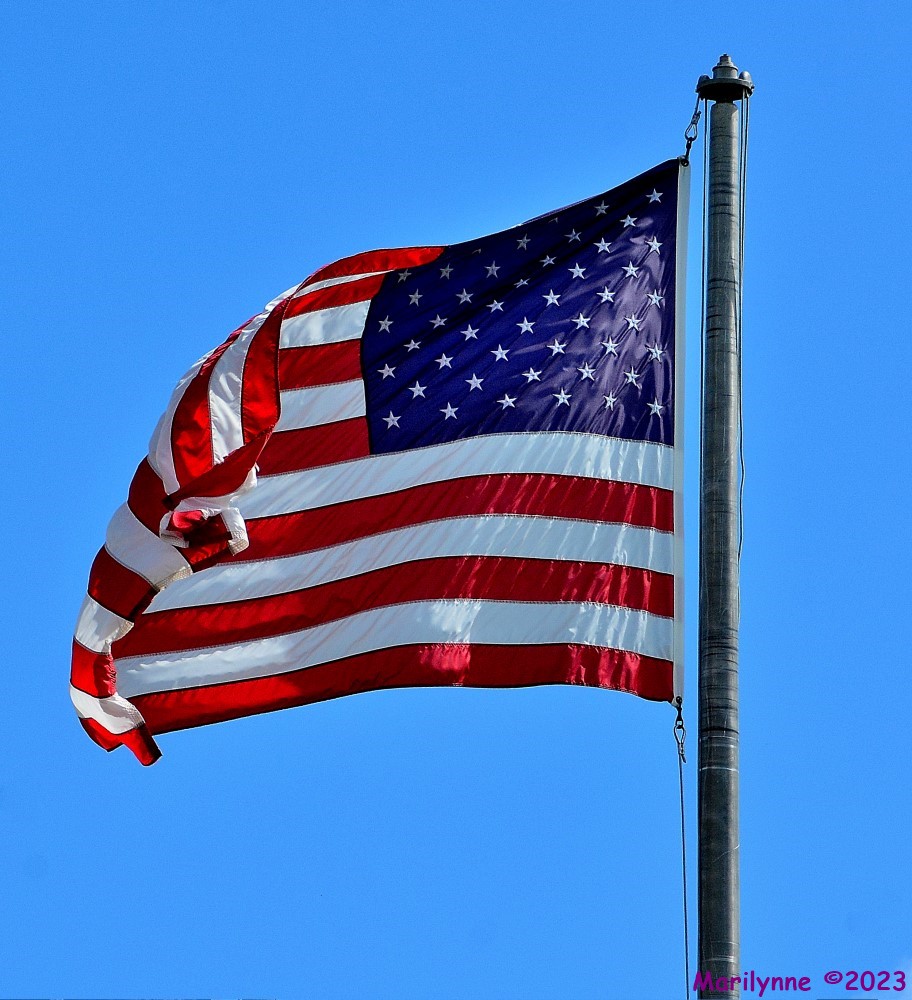 DSC_9986_001.JPG
