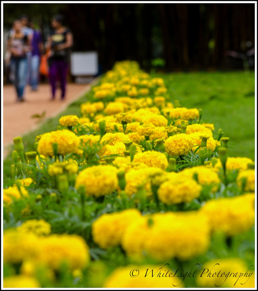 DSC__WLP_0001-120.jpg