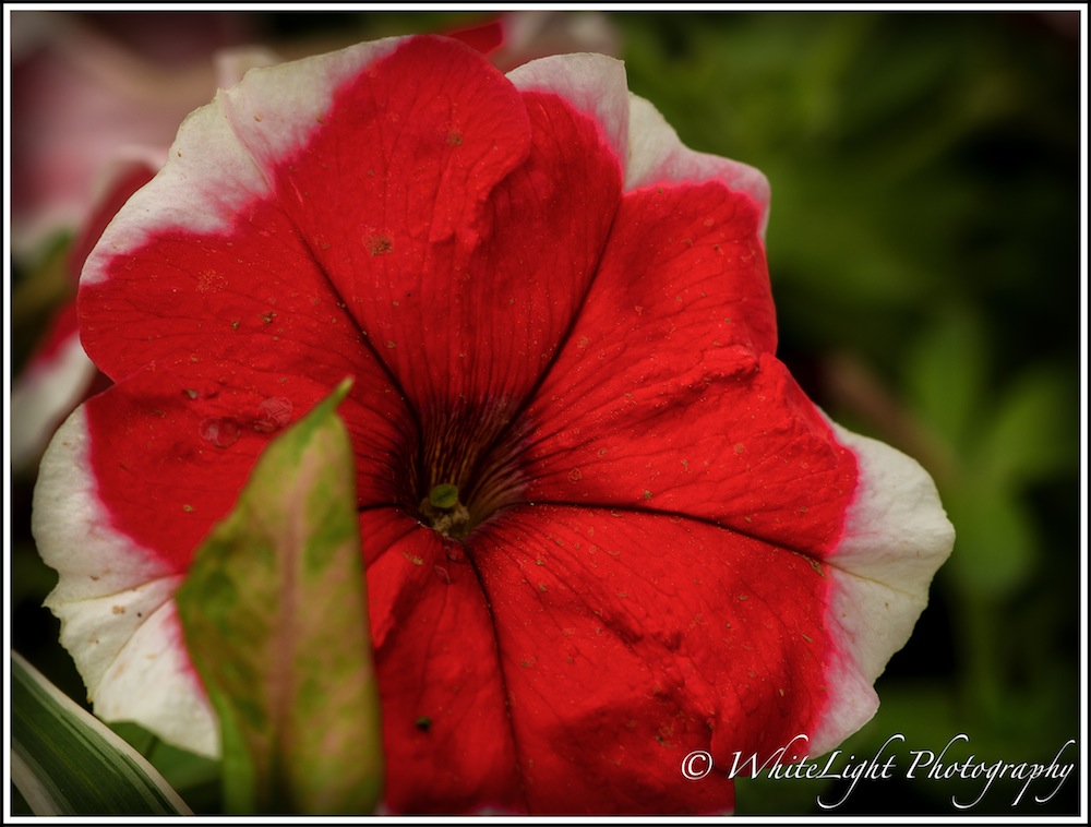 DSC__WLP_0001-122.jpg