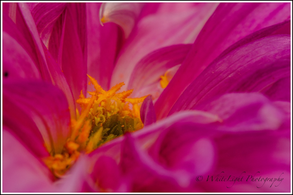 DSC__WLP_0001-124.jpg
