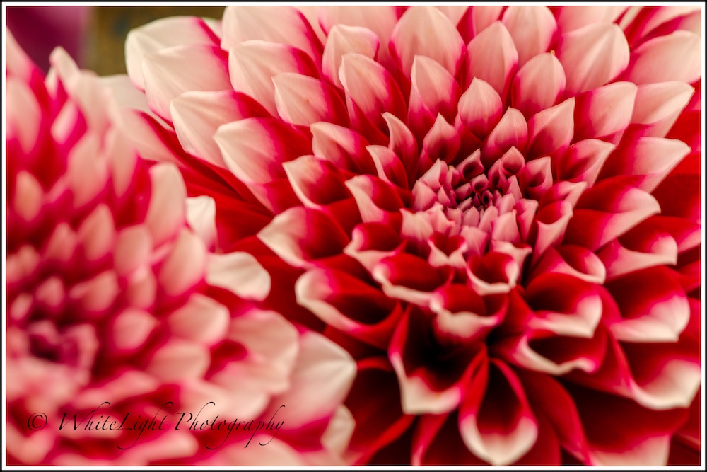 DSC__WLP_0001-127.jpg