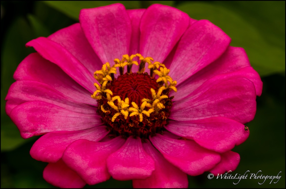 DSC__WLP_0001-147.jpg