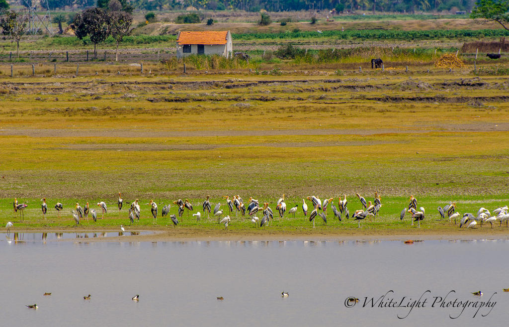 DSC__WLP_0001-15.jpg