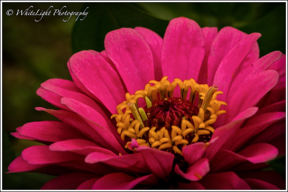 DSC__WLP_0001-152.jpg