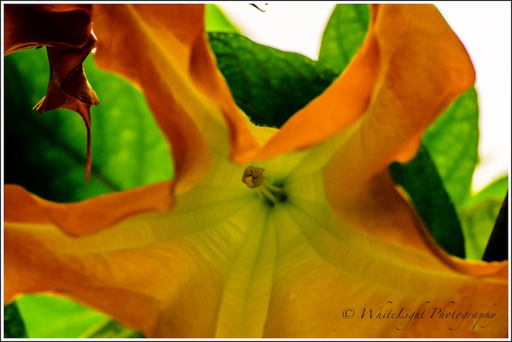 DSC__WLP_0001-153.jpg