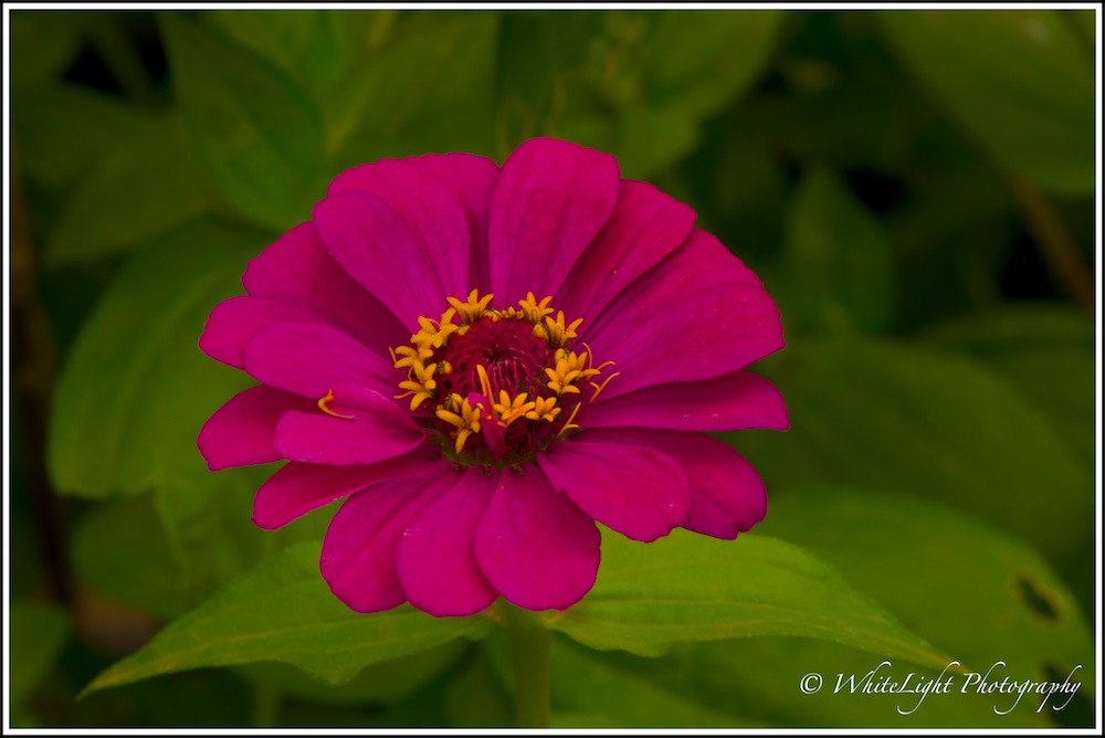 DSC__WLP_0001-166.jpg