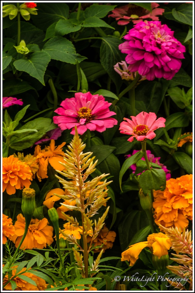DSC__WLP_0001-173.jpg