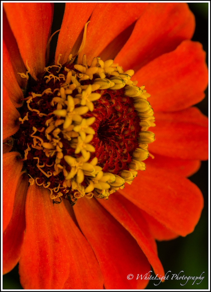 DSC__WLP_0001-174.jpg