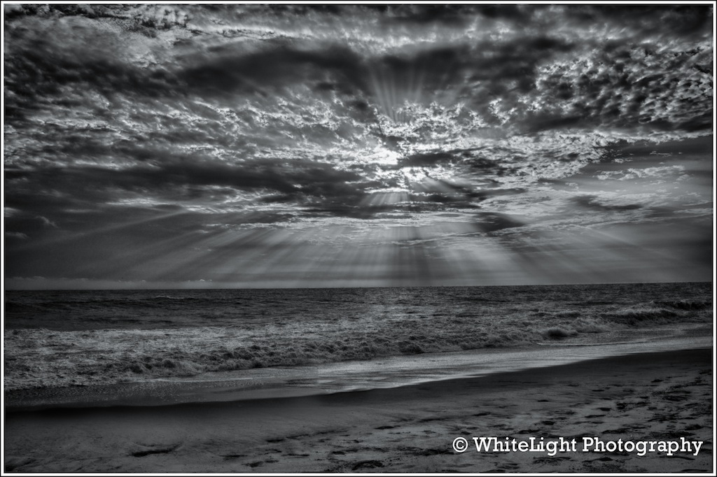 DSC__WLP_0001-2.jpg