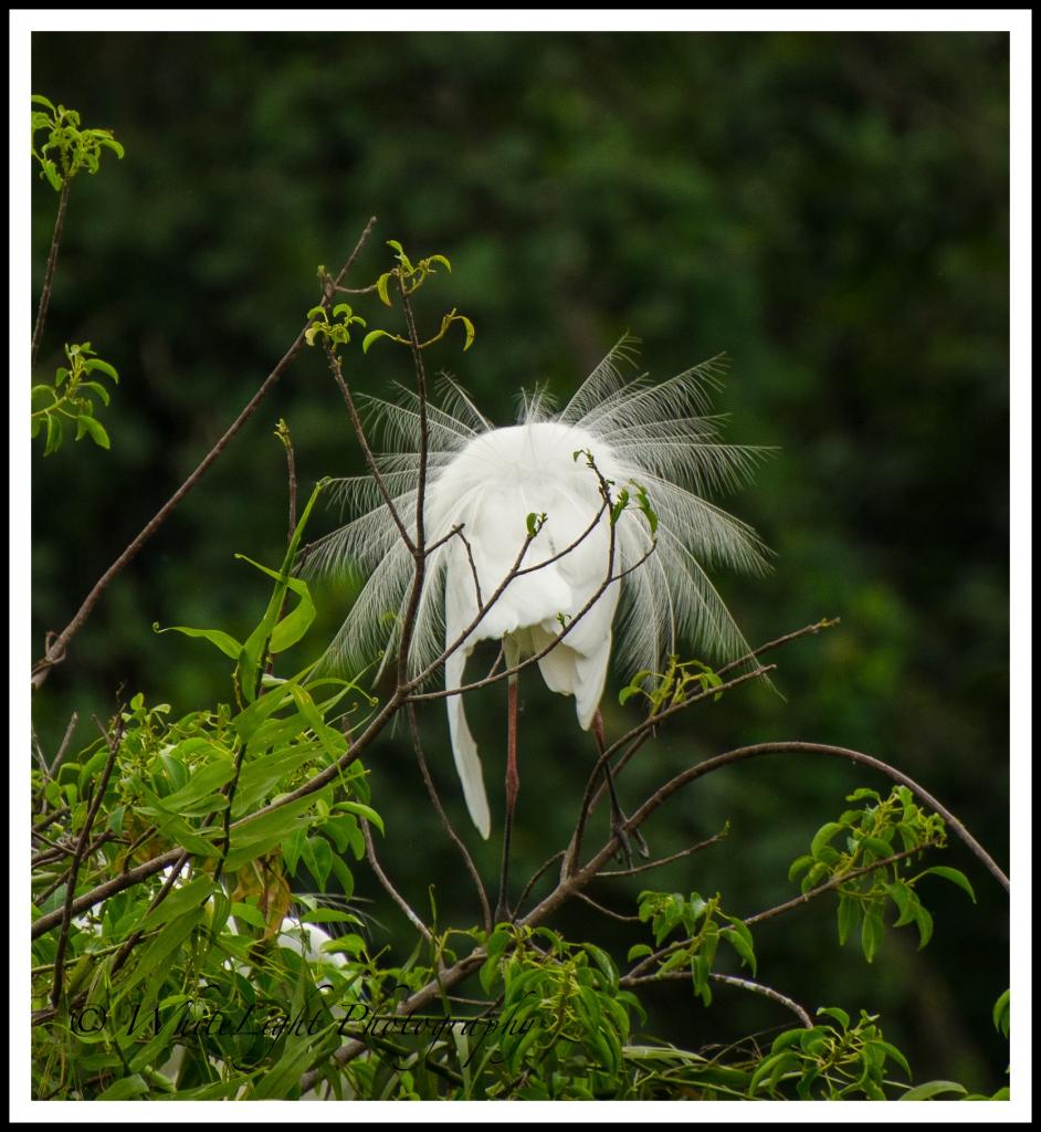DSC__WLP_0001-34.jpg