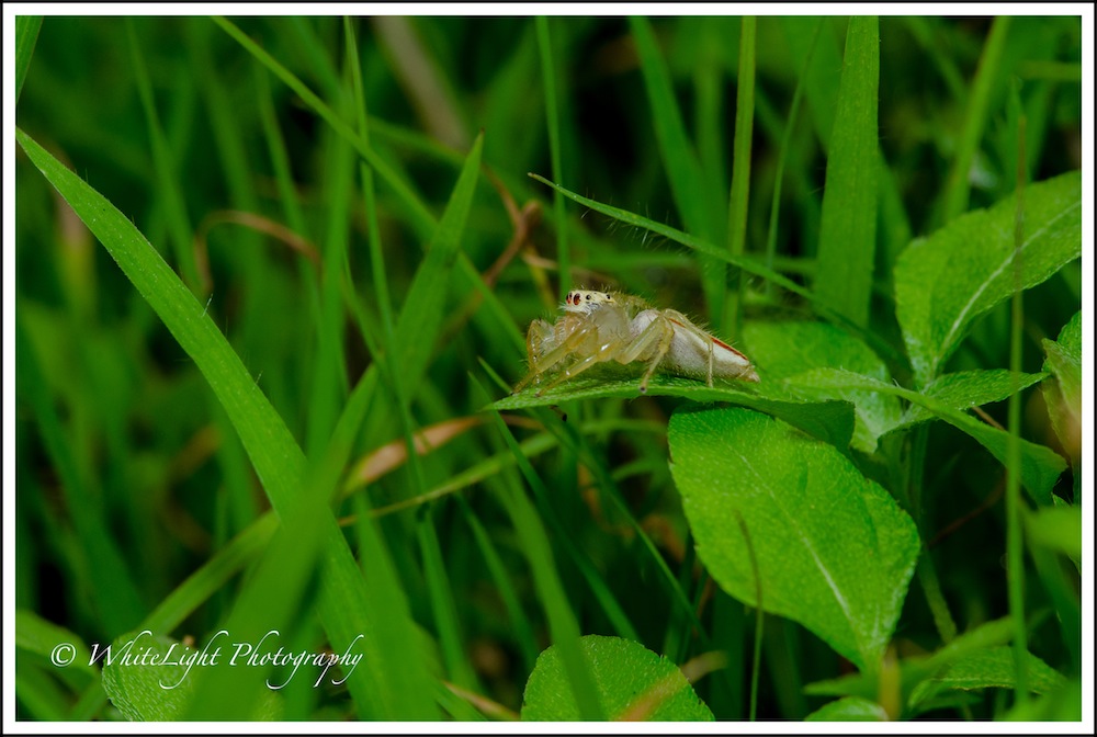 DSC__WLP_0001-69.jpg