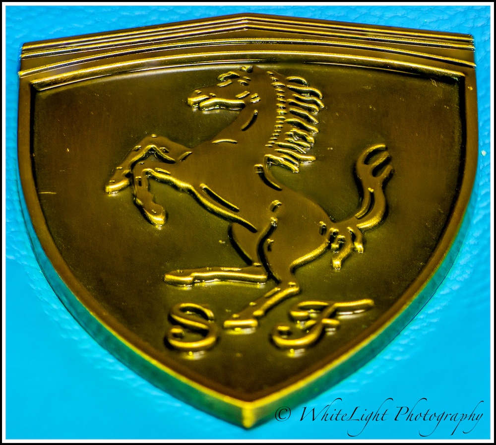 DSC__WLP_0001-83.jpg