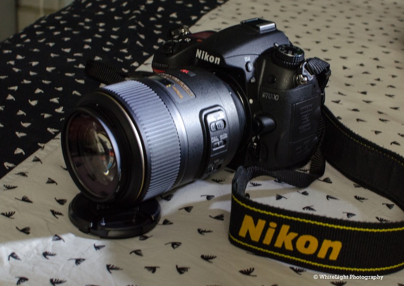 DSC__WLP_0005-2.jpg