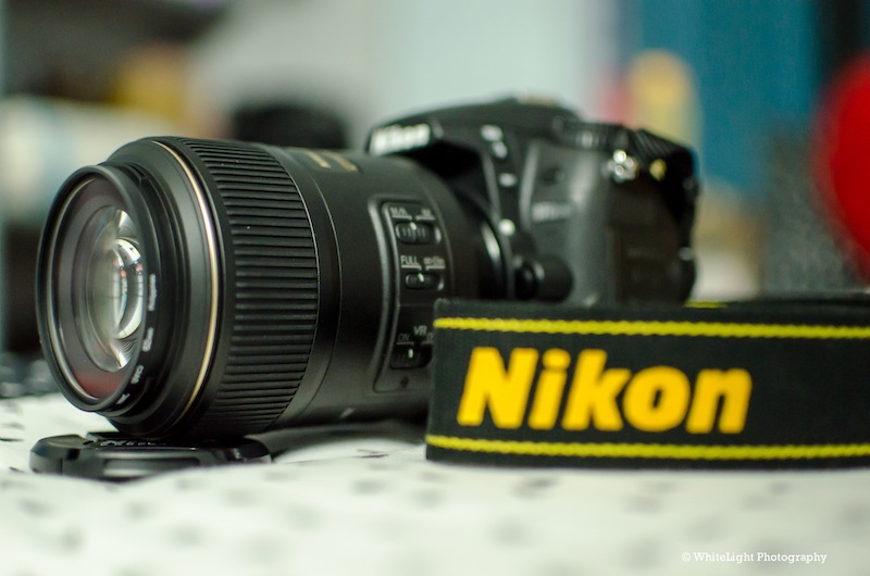 DSC__WLP_0006.jpg