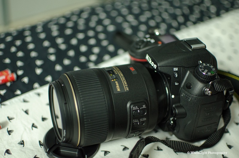 DSC__WLP_0008.jpg