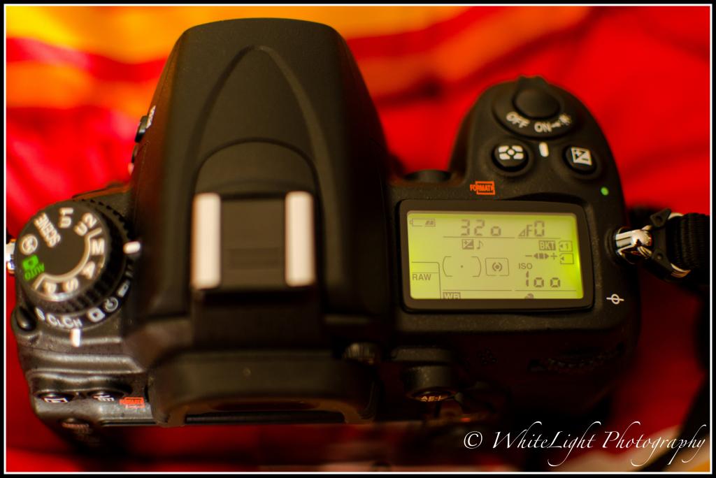 DSC_WLP-3-2.jpg