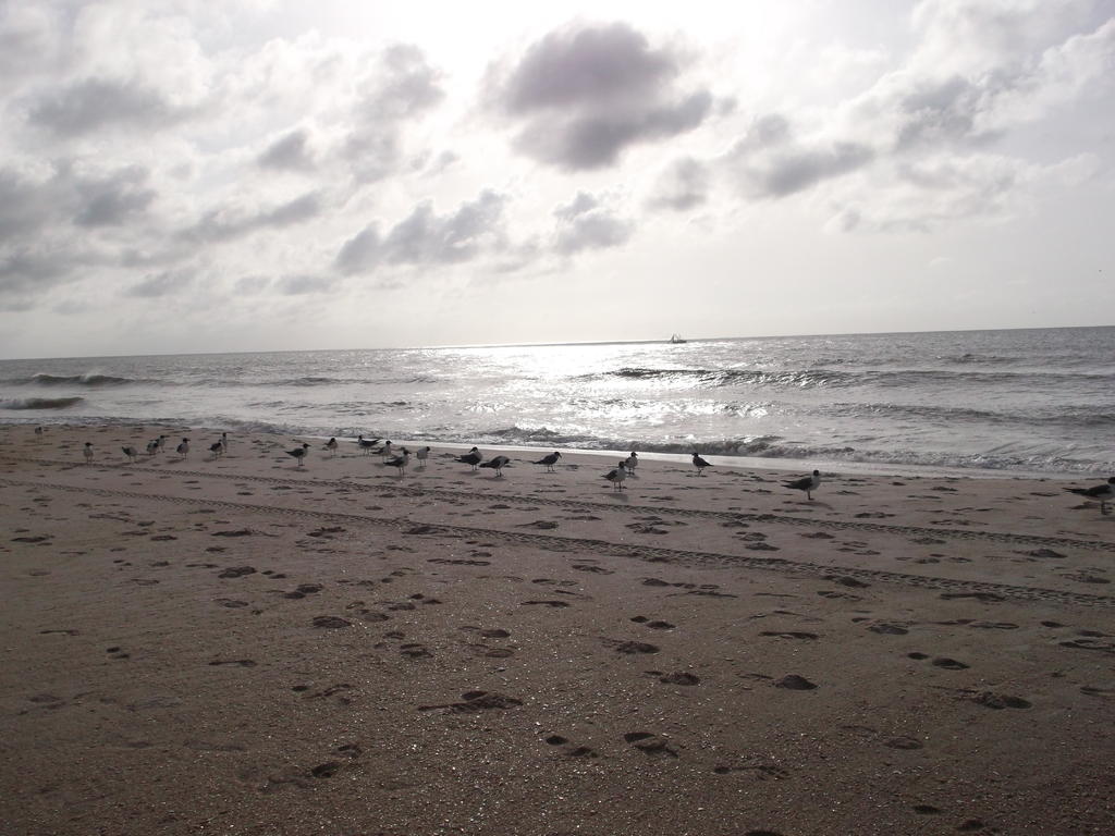 DSCF0498.jpg
