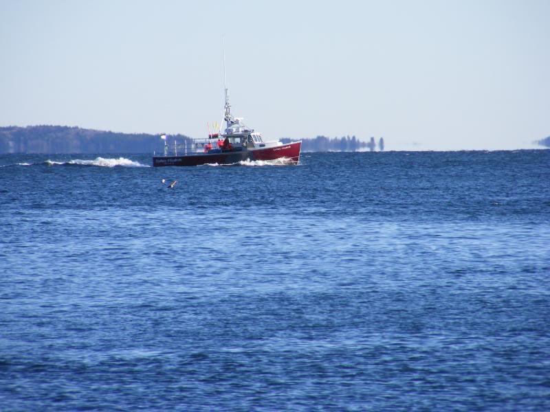 DSCF1278.jpg