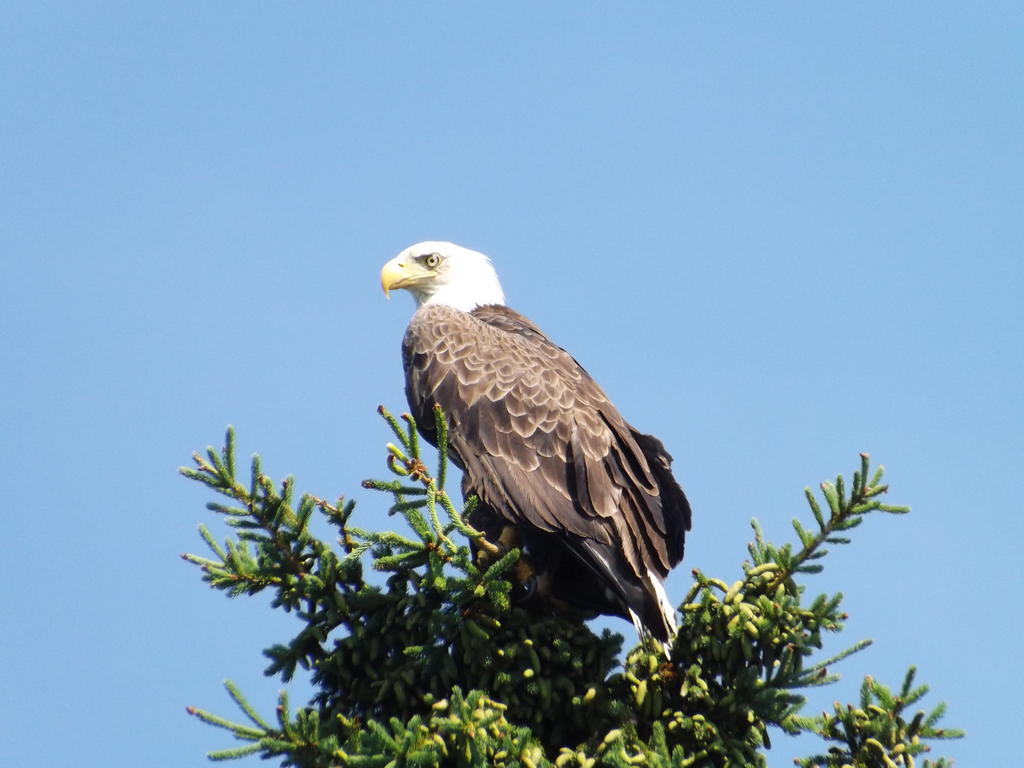 DSCF1583.jpg