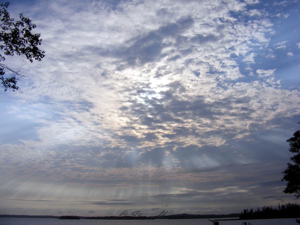DSCF1629.jpg