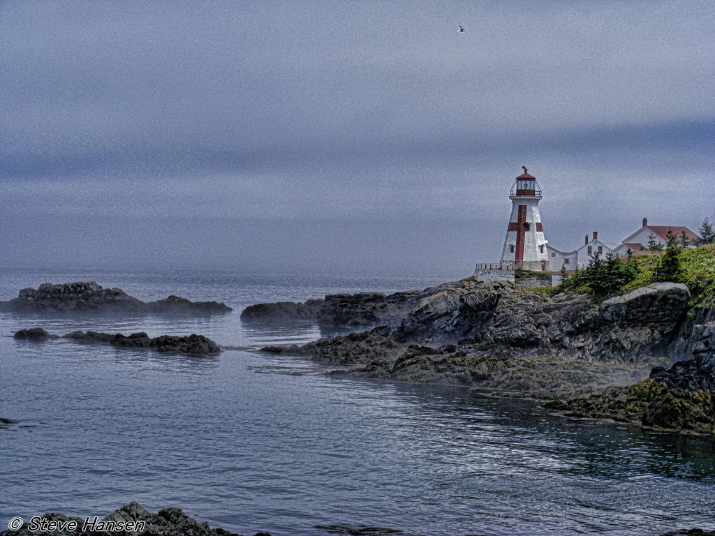 DSCF1655-1.jpg