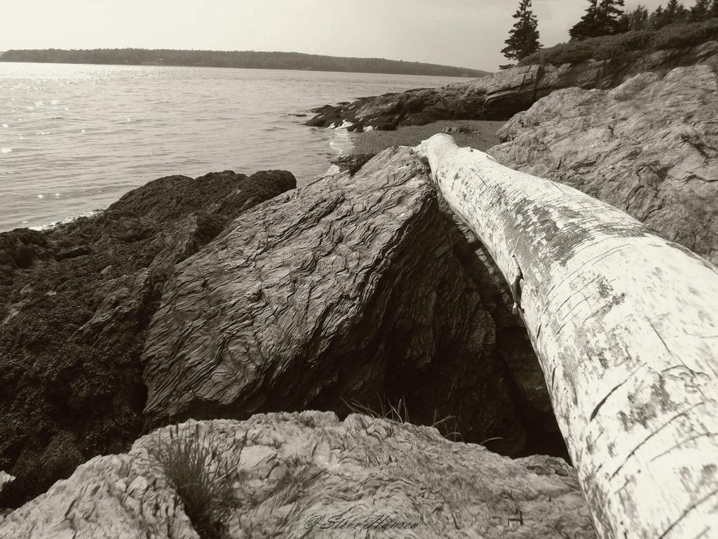 DSCF1660.jpg