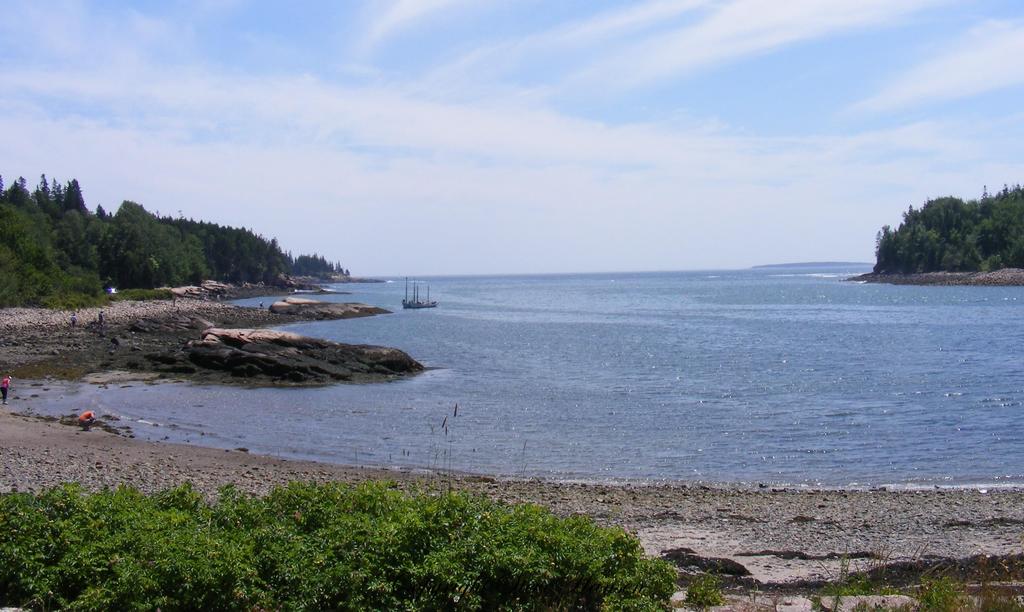 DSCF1682.jpg
