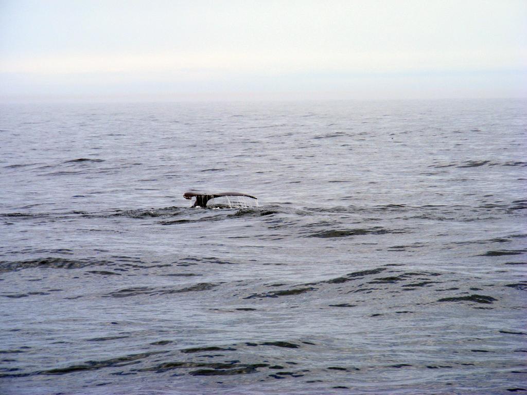 DSCF1723.jpg