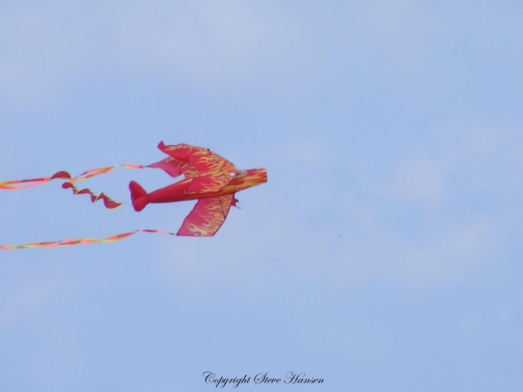 DSCF2268.jpg