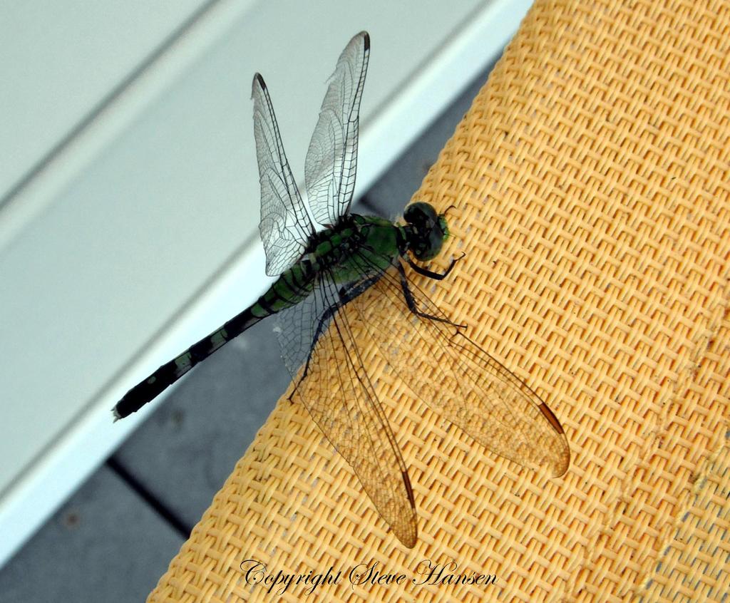 DSCF2701.jpg