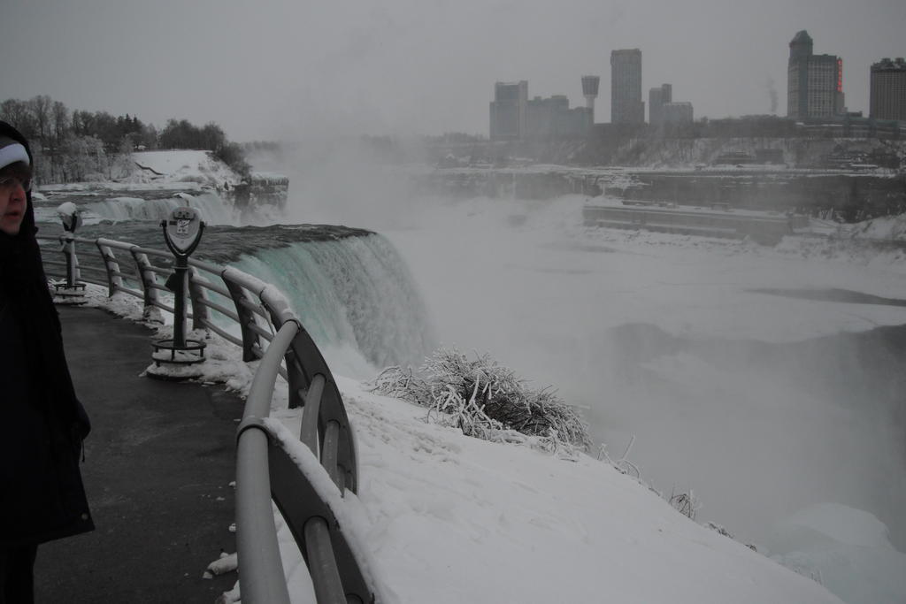 DSCF2944.jpg